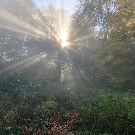 Apartment Maiberger *